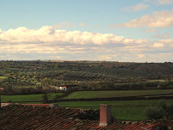 Vista