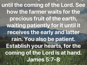 PATIENCE, PAIN, PERSEVERANCE, AND PRODUCTIVITY