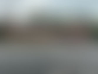 I'M SO LONESOME I COULD CRY