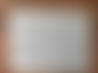 Mission Strategist Report, July 2024