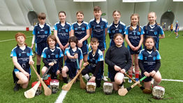A Good Day Hurling in the Dome.