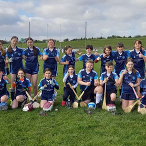 Fun and Success on the Hurling Pitch
