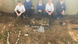 Village creations!