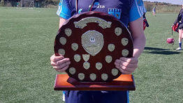 Hurling Success