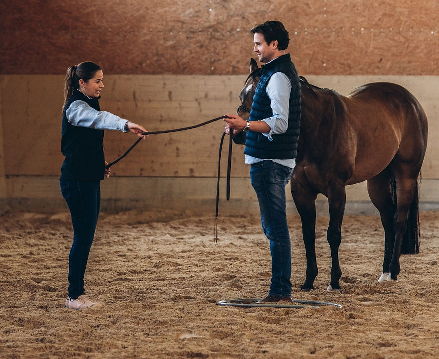 Nadia Lattmann mit Pferd in einer Reithalle