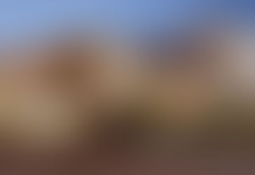 Bishop Is Focused on Reversing BCA’s Membership Fall