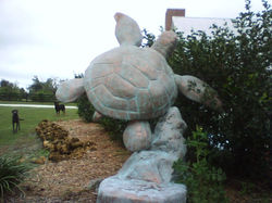 copper turtles back.jpg