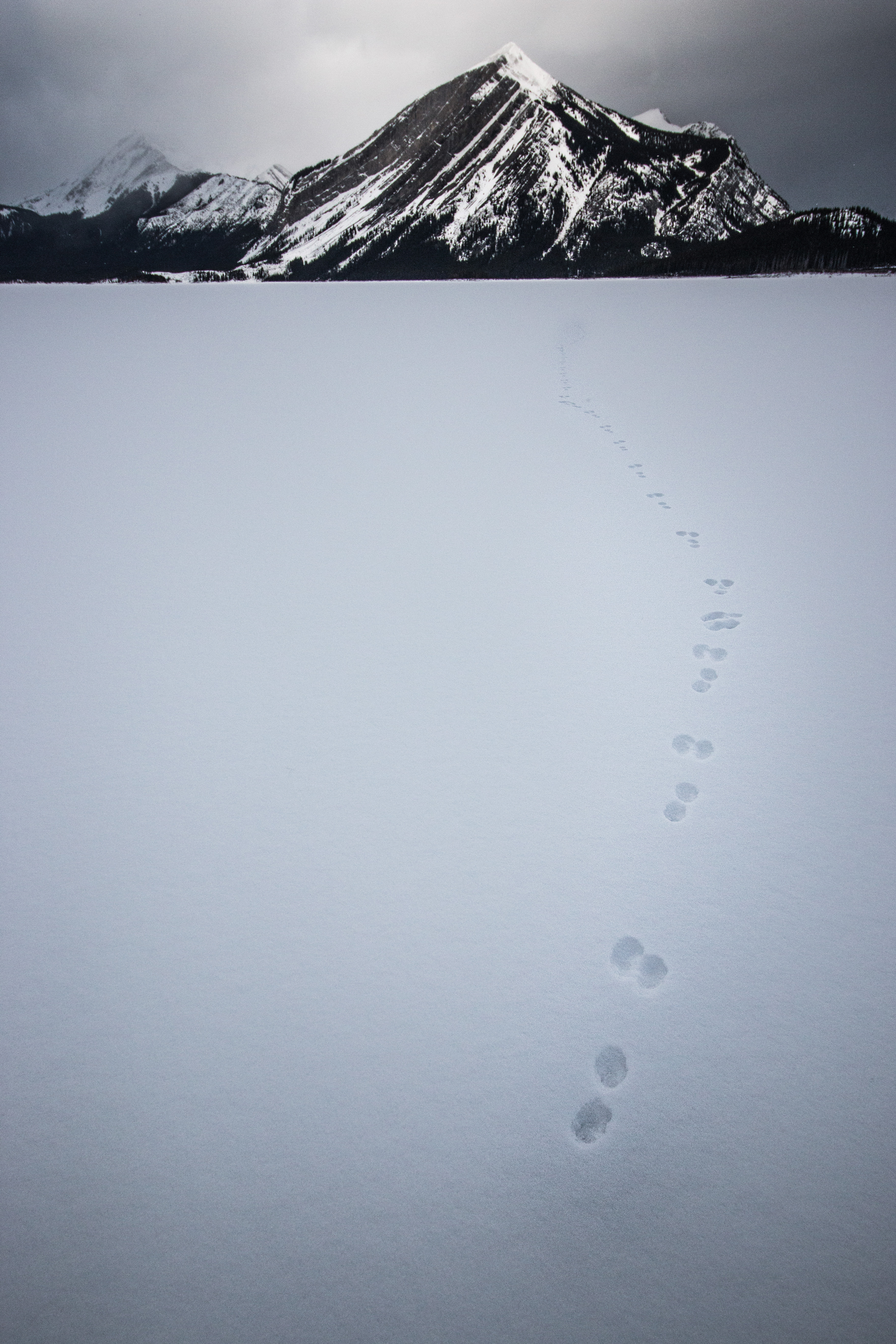 Kananaskis Country II