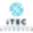 Logo of International Therapy Examination Council