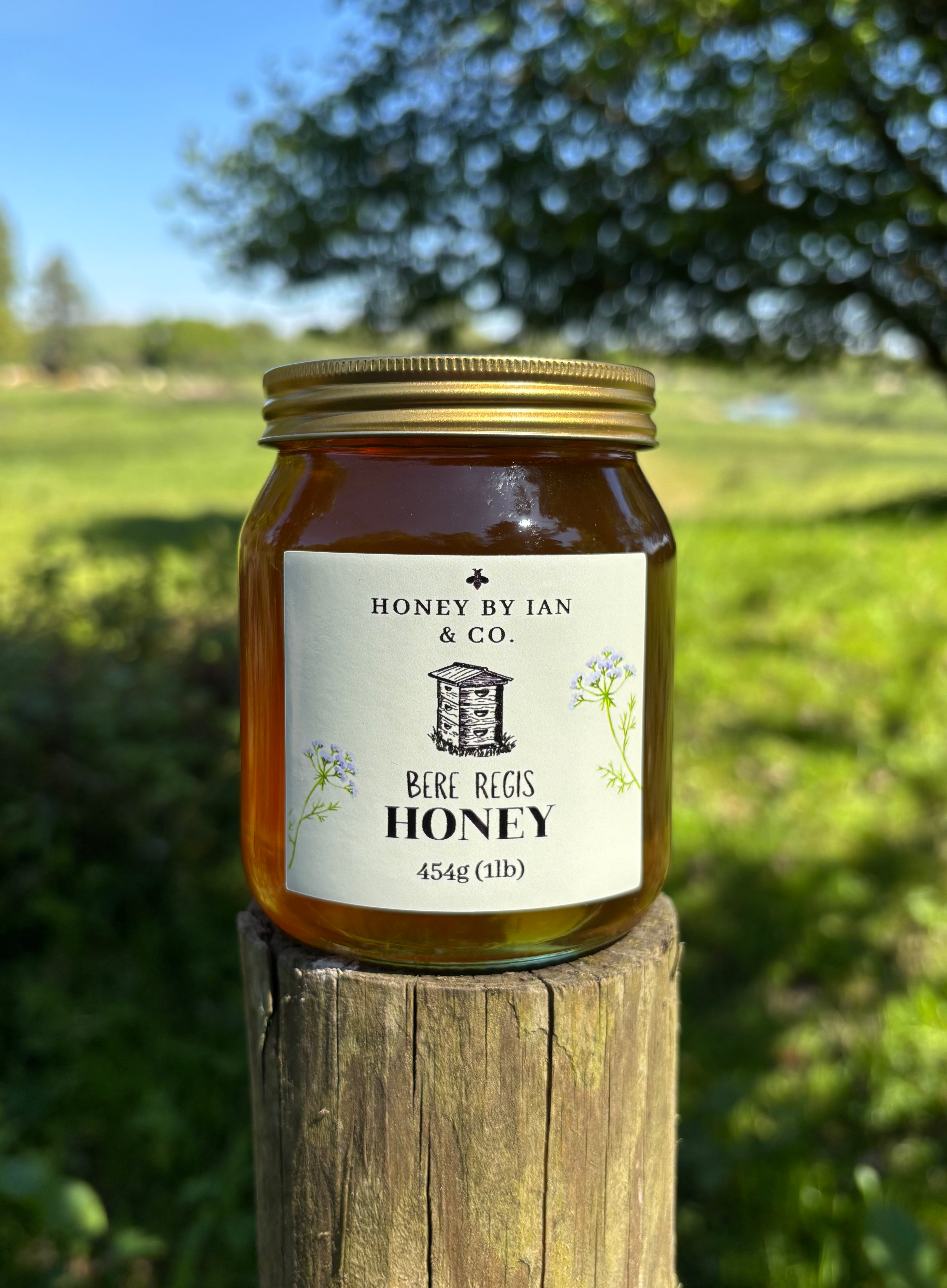 Bere Regis Honey