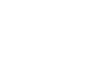 lotusblume