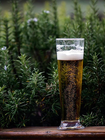 beer 2_edited.jpg