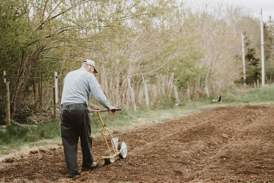 Gardening
