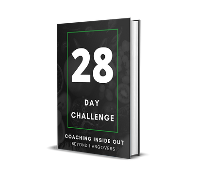 book mock up 28 days.png