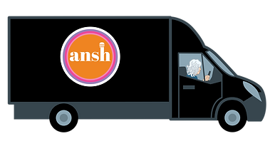 new mini van.png