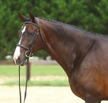 Zahnya Head_edited.jpg