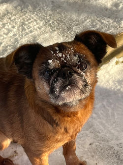 missy IMG_9363