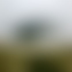 The Avenue of Volcanoes