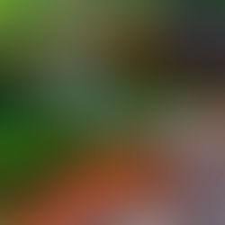 The River of Five Colors