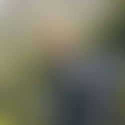 Bus rides, Buddhism, and the Art of Motorcycle Maintenance