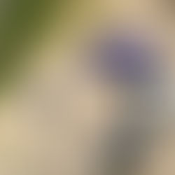 The Trail of Death, Quilotoa to Chugchilan