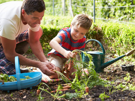 Gardening Activities and Conversations: Cultivating Language Development