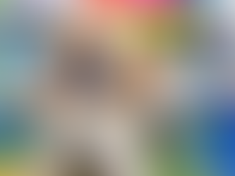 The Dog Days of Summer Is Not Holding These Furry Friends Back From Making a Difference!