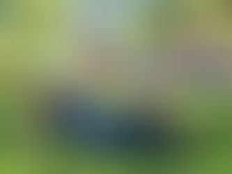 Activities To Boost Your Baby’s Development at Home