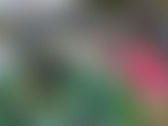 The Norfolk Botanical Gardens - The Perfect Place for Fun Learning Activities