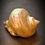 Miniature : Coquillage du Pacifique