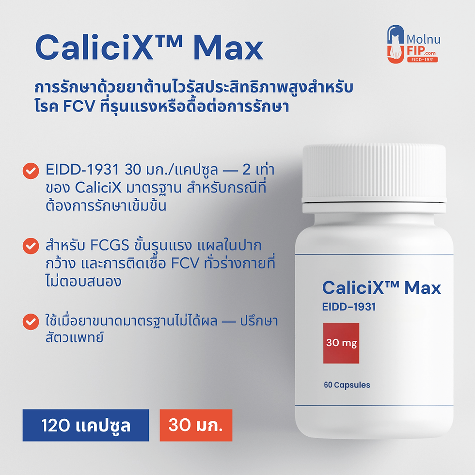 ภาพขนาดย่อ: CaliciX™ Max – สูตร EIDD-1931 ความเข้มข้นสูง สำหรับโรคคาลิซิไวรัสในแมวระยะรุนแรง