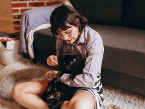How Much Does FIP Treatment Cost for a Cat in Australia?