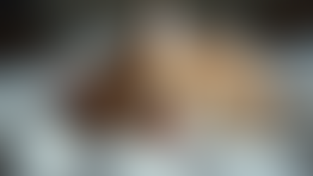 Basmi FIP ในไทย: ข้อมูลสำคัญ