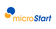 Logo microstart 2.png