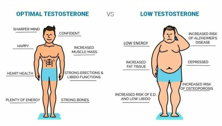 optimal testosterone low testosterone