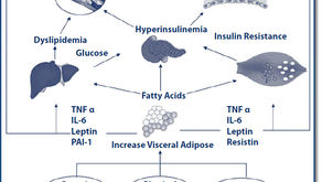 Hyperinsulinemie & Suikerziekte