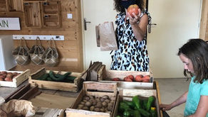 Fit en gezond blijven, zelf op vakantie. Het kan!