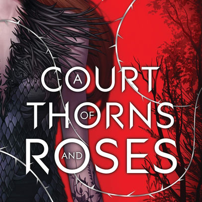 A Court of Thorns & Roses by Sarah J. Maas 