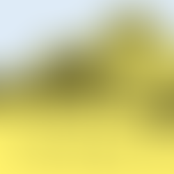 Mensaje a García: La importancia de la disciplina y la iniciativa en la vida y en las organizaciones