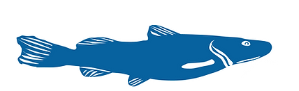 proposta_layout_siteCBZ2026-18.png