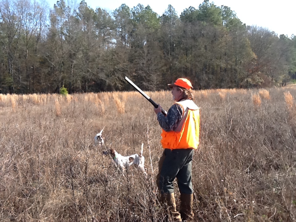 Blackwater | Guided Quail Hunting in SC Low-Country
