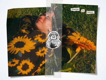 Temporada de Girasoles - 26 de marzo