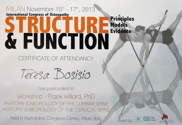 Attestato corso Willard