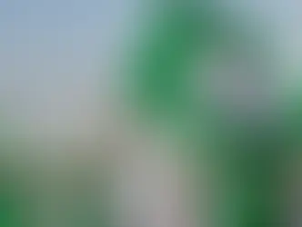 नाइजीरिया स्वतंत्रता दिवस: देश की आज़ादी का अनजान कथा