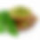 Thumbnail: Moringa Powder