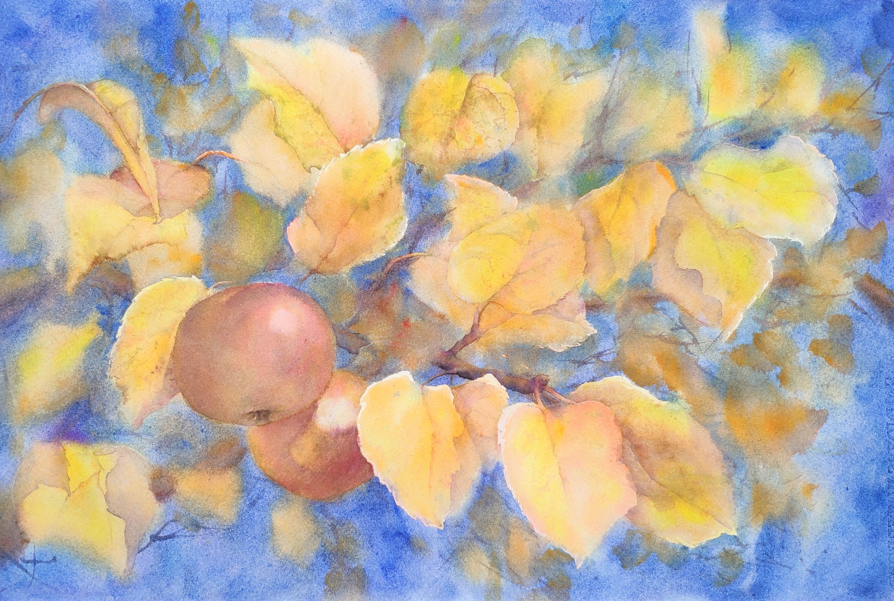 "Aroma of autumn"