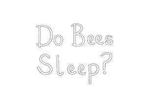 Do Bees Sleep Title