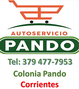 autoservicio pando.png