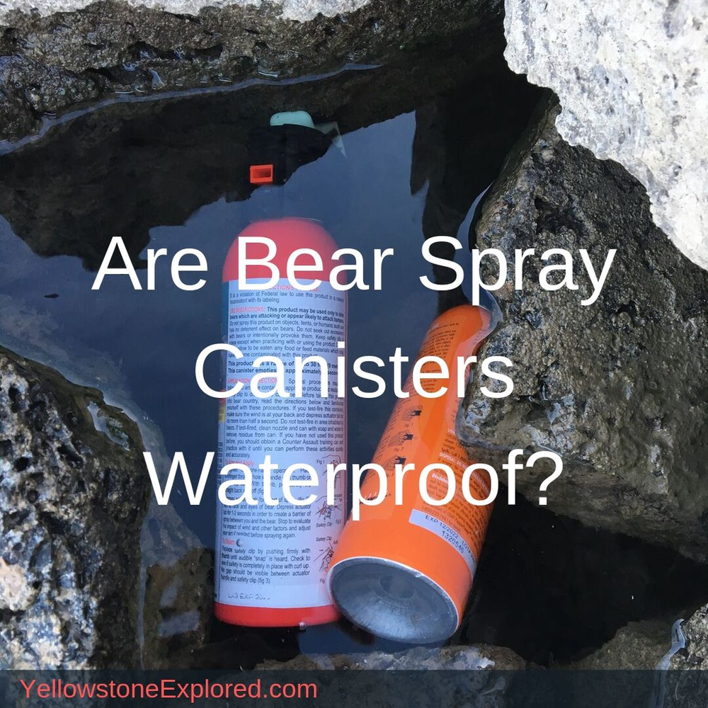 Are Bear Spray Canisters Waterproof?