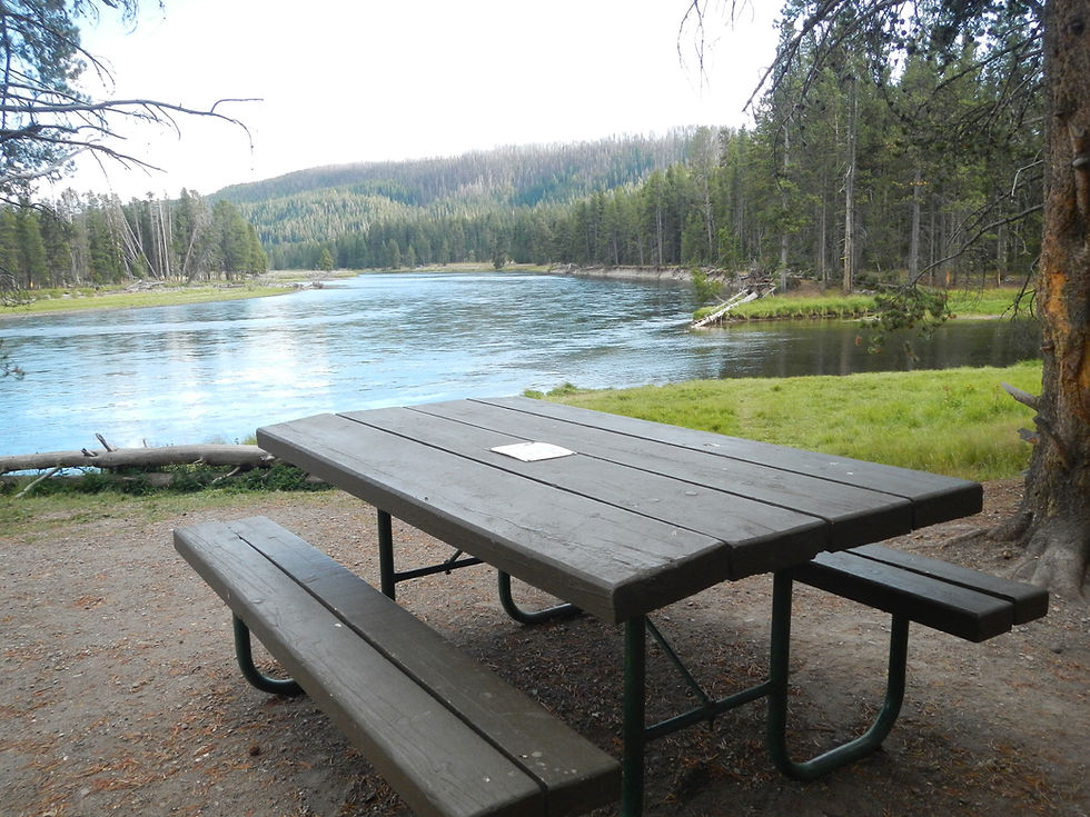 Best 9 Picnic Areas in Yellowstone – For the Whole Family